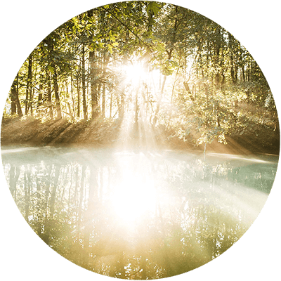 Hypnosepraxis Jörg Reyes - Berlin Prenzlauer Berg - Sonne scheint durch Bäume auf Teich